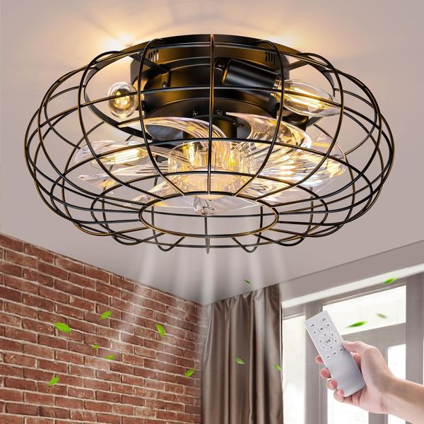 Ceiling Fan with Lights, 16 Inch Caged Ceiling Fan Lights Remote Control Small I