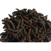 UZIZA Seeds Plus 4 More seeds