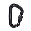 Black Diamond Liteforge Screwgate Carabiner, SS23, One Size