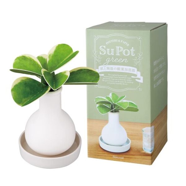 Beauwell S-Pot Houseplant Humidifier Hoya Curly 1 Piece (Easy for Plants)