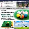 SEAVER GOLF 20 MARBLE GOLF Golf Practice Balls