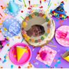 Super Cool Creations Selfie Cake Mirrors (Reusable Acrylic), Sizes, Shapes Available