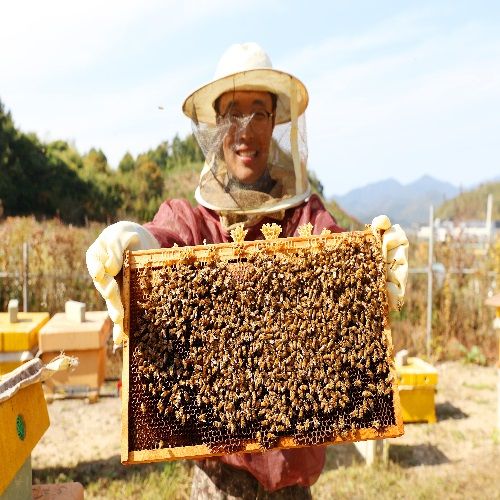 Raw honey once a year! 100% domestic natural honey, real honey