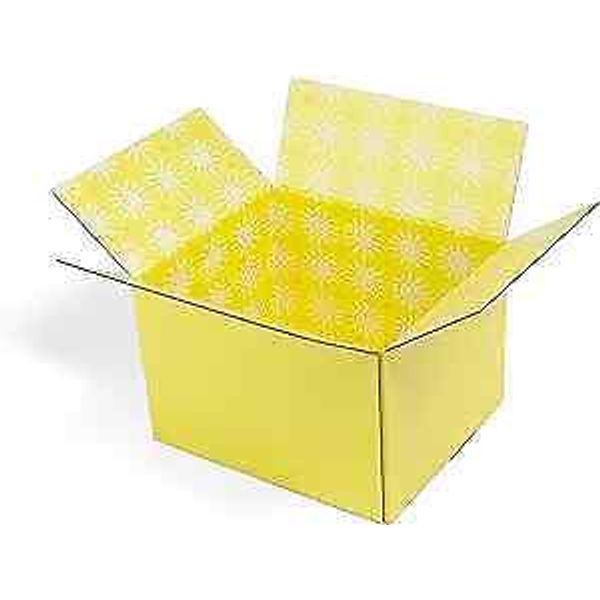 GiftIn Corrugated Shipping Box, Sunshine Design, Care Package, for Gifts,