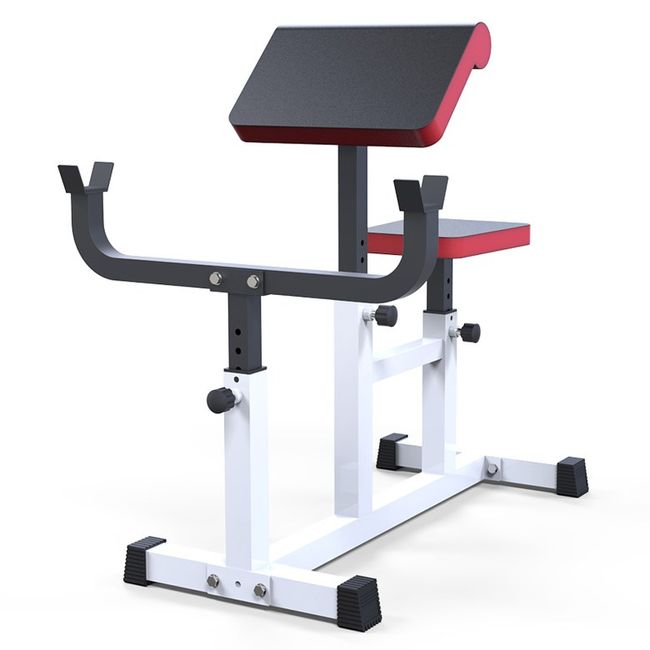 Biceps Exercise Biceps Arm Curl Preacher Barbell Curl Rear Chain Back Extension Multi Roman Chair Health Bench Machine, Pearl White