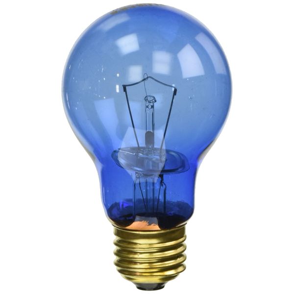 Fluker's (3 Pack) Hermit Crab Habitat Daytime Bulb, 60-watt