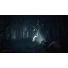 Blair Witch (PS4)