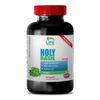 Magnesium Supplement - Holy Basil Extract 750mg - General Wellness Capsules 1B