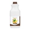 Tea Zone Ginger Syrup (64oz), J1005