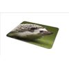 Cute Hedgehog Mouse Mat Pad - Kids Fun Animal Hog PC Computer #8246