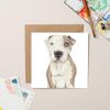 StreetVet Ty card (blank)