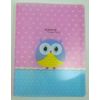 Cute Owl 20 Pockets Lightweight A4 Display Book File Folder(Pink Hearts)
