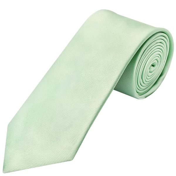 TIES R US Pale Mint Satin Classic Men's Tie