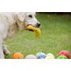 Petface Latex Pear Soft Chew Dog Toy, Large
