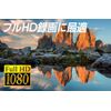 I - O DATA, Compatible with Class 10, SDHC Memory Card
