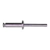100 Pcs Window Regulator Peel Type Rivets 1/4 Diameter Compatible with Ford GM
