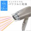 Panasonic EH-NE2E-N Ionity Dryer, Quick Drying, Lightweight, Gold