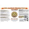 Calamus (Acorus Calamus) Liquid Extract 4x4 oz