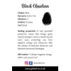 VIE Crystal Mushroom Keychain, Black Obsidian