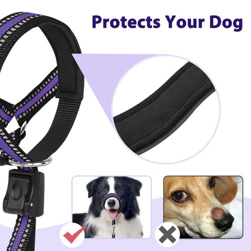 BARKLESS Soft Dog Head Collar, Patented Padded No Pull Head Halter, Training Nose Leash with Safety Link for Medium Large Dogs, Adjustable Muzzle Leash, Easy Control for Walking (L, Purple)