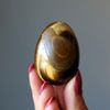 Satin Crystals Tigers Eye Egg Brown Stone 1.75-2.0 inch