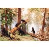 Luca-S Morning in The Pine Forest Counted Cross Stitch Kit