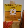 Pumpkin Spice Handmade Bar Soap