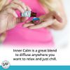 mEssentials Exquisite Signature Essential Oil Blend Inner Calm, Two 10 ML Bottles