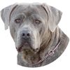 CafePress Cane Corso Mug 11 oz (325 ml) Ceramic Coffee Mug
