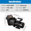 3/4 HP High Flo Above Ground Swimming Pool Pump w/ Strainer Filter Basket