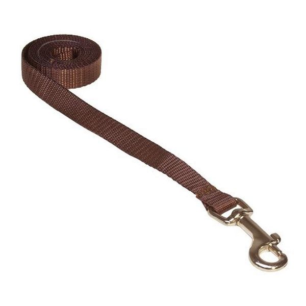 XSmall Brown Nylon Webbing Dog Leash: 1/2" Wide, 4ft Length - Made in USA.