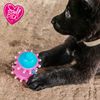 Ancol Small Bite Puppy Vinyl Toy Selection, 4 Assorted Toys Per Pack, 8 cm