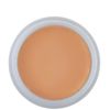 Kryolan Dermacolor Camouflage Creme 30g - Colour D4
