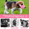 Soft Breathable Dog Muzzle - Safety Muzzle to Prevent Biting Barking, Chewing, Eating - Adjustable Straps (Pink, Small)