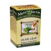 Olive Leaf Yerba Mate  20 Bags By The Mate Factor