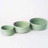 Health Water Bowl, M
