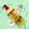 Olive Moisture Professional Curl Defining Detangling Shampoo 16 Oz
