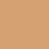 Pantone TPG 8.5X11 Sheet 15-1231 Clay