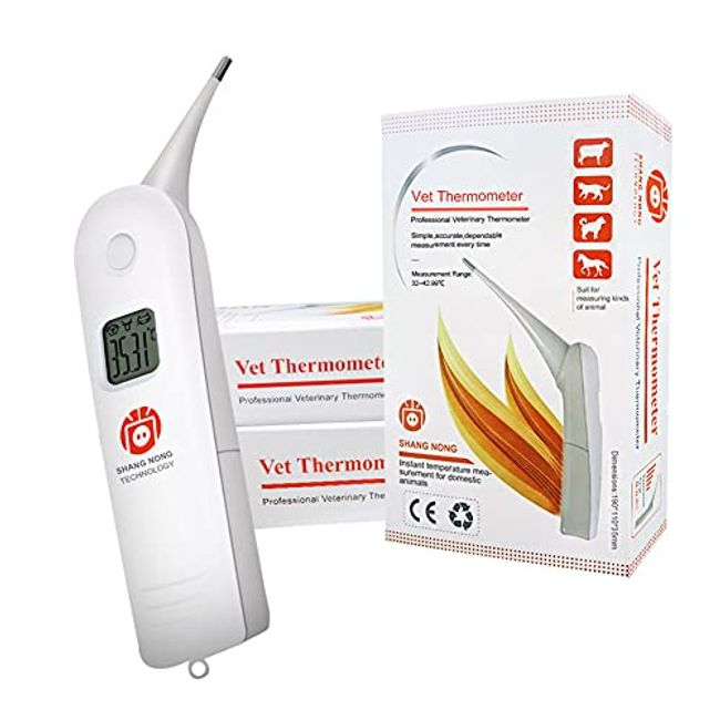 Animal, dog, head, medicine, temperature, thermometer, vet clinic