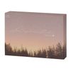 Neosight One Day Ring AM UV Ciel Pale Pink -4.75 30 Count