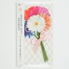 Greeting Life Writing Message Gift Bouquet Gerbera MMBS-466