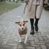 HUNTER Malmö Dog Jumper, 35, Beige
