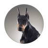 Doberman Pinscher PopSockets PopGrip: Swappable Grip for Phones & Tablets