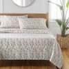 Bashful Blooms Warm Cotton Sateen Pillowcase Set, Standard/Queen (2 Count)
