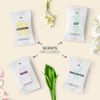 MAISONOVO 4 Pack Mix Scent Foaming Hand Soap Tablets