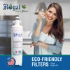 Fits Kenmore 46-9690 Replacement Refrigerator Water Filter RPF-LT700P(1 Pack)