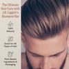 J.R. Liggett Bar Shampoo, Original Formula, 3.5 Ounce