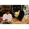 さんまのまんま ~永遠のスター編~ BOX2[DVD]