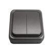 BF BF-18 - Double Switch 18 Surface 10A 250V Graphite Bag