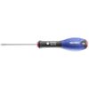 SCREWDRIVER WITH SCHLITZPROFIL